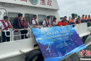 双龙戏凤浙江今年计划放流种类海洋水生生物苗种超15亿单位