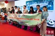 双龙戏凤中国彩绘熊猫艺术国际巡展东京站开幕