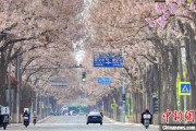 双龙戏凤共建“花园城市” 北京这场议政会“百花齐放”